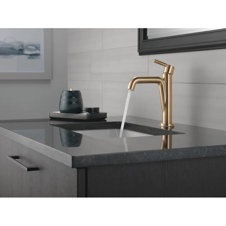 Nicoli Single Hole Bathroom Faucet with Drain Assembly, Single Handle Bathroom Sink Faucet
