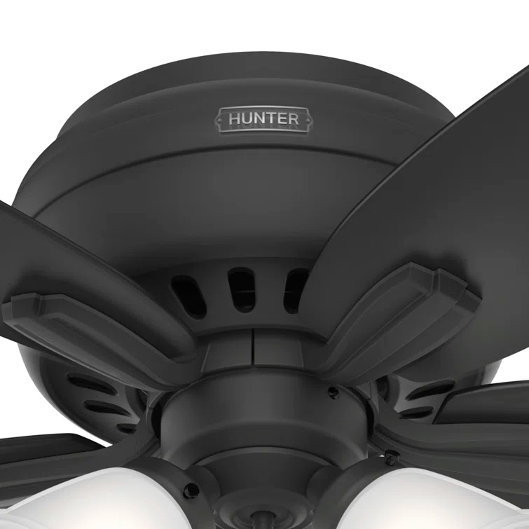 Hunter Fan Newsome 42" 5 - Blade Traditional Indoor Flush Mount Ceiling Fan with Lights and Pull Chains
