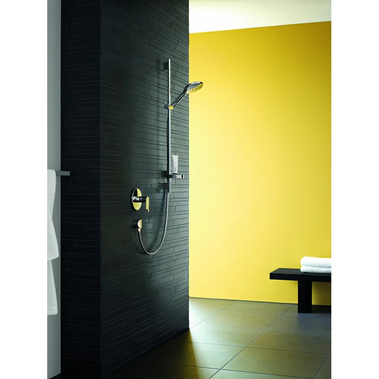 Raindance Handheld Shower Head