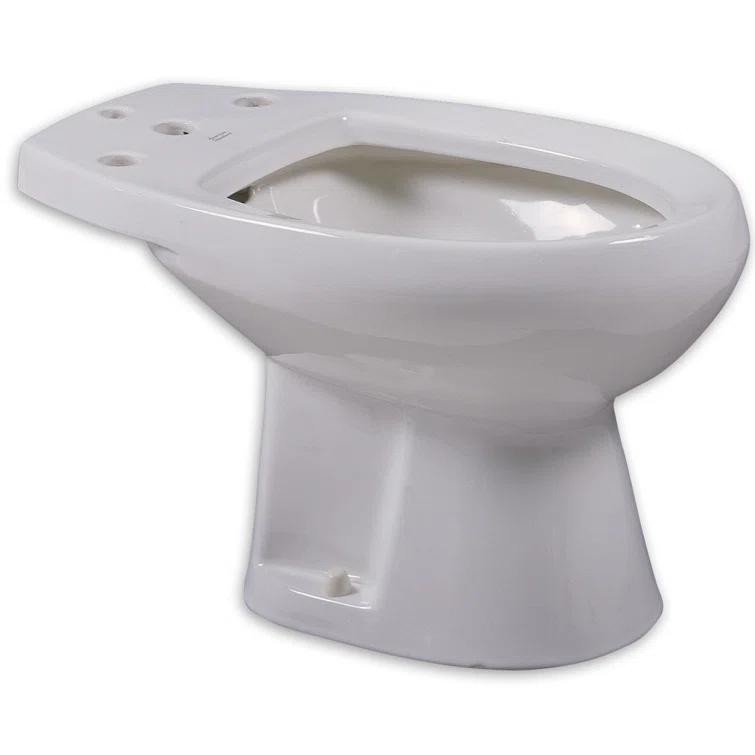 Cadet Elongated Floor Mount Bidet