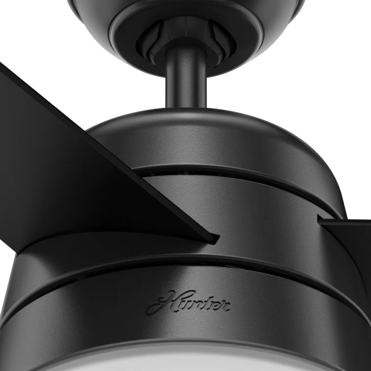 Aker 36" 3 - Blade Standard Ceiling Fan with Lights and Pull Chains