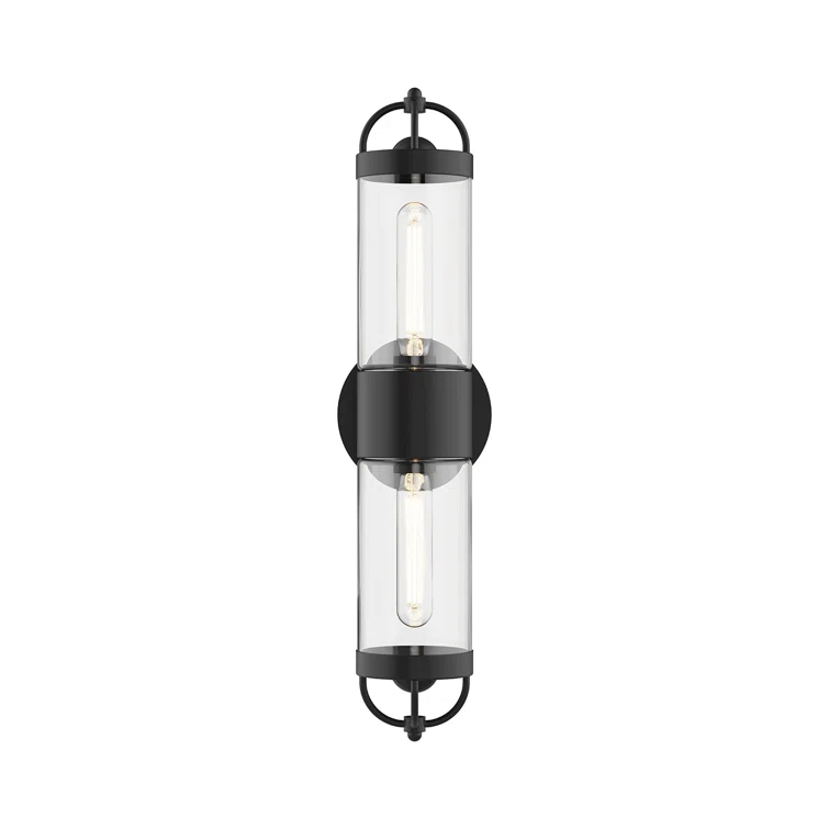 Joss & Main Santi Wall Light