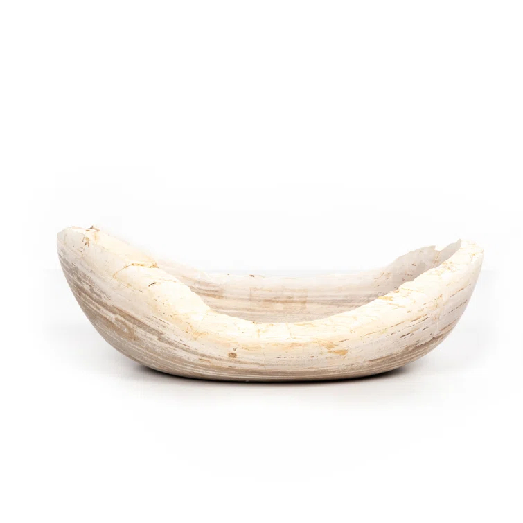 Noki Petrified Wood Bowl