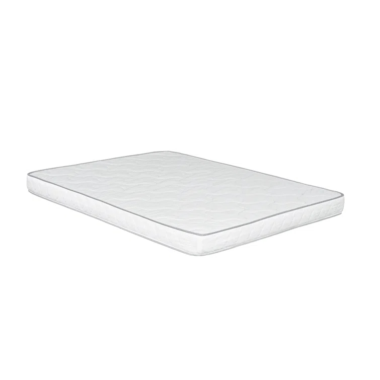 Rosemarie 6 in. Firm Foam Bed in a Box Mattress