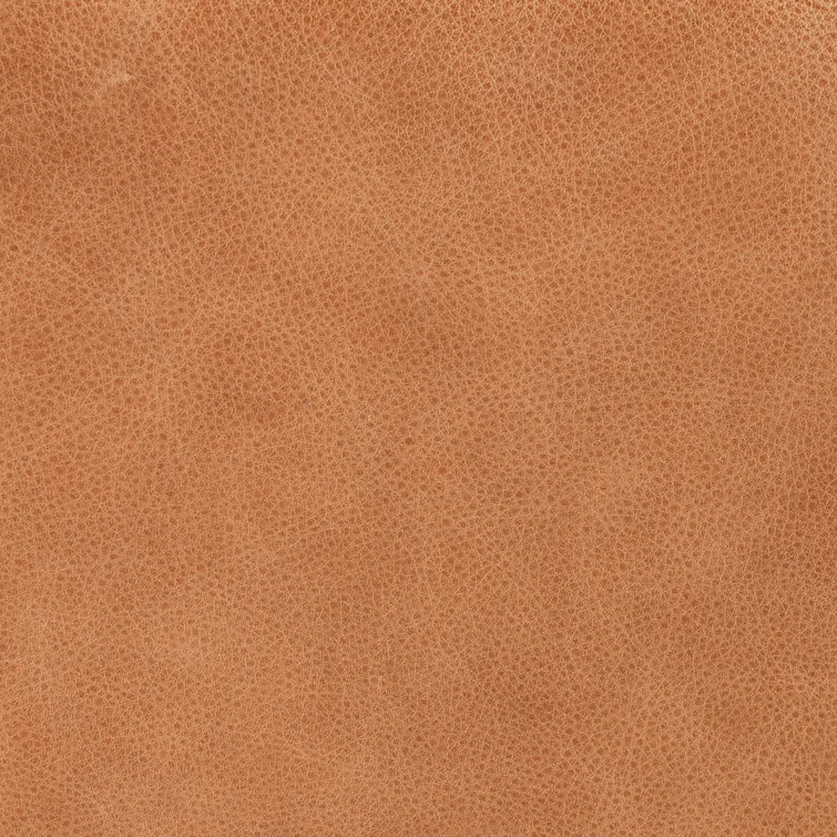 Bronwyn Almond Genuine Leather Swivel Side Chair