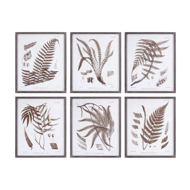 Love Happy Creations LLC " Fern " 6 - Pieces (Set of 6)
