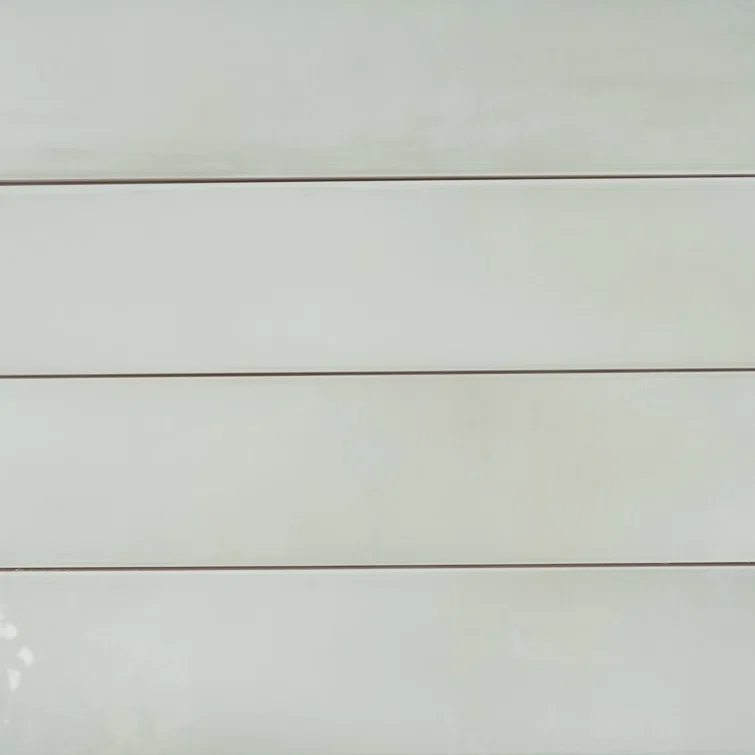 2.56'' W x 15.75'' L Ceramic Subway Singular Tile