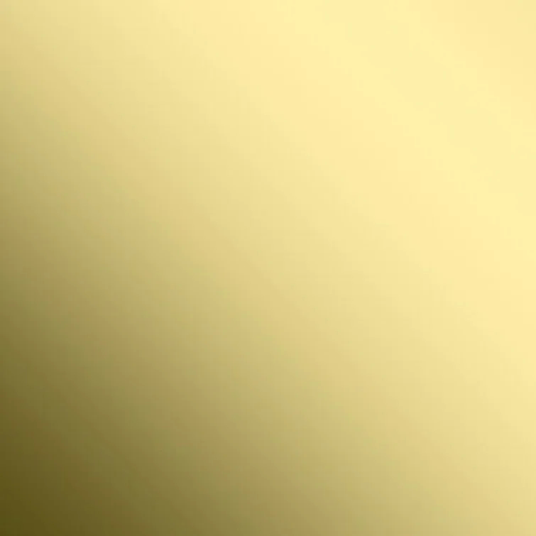 Unlacquered Brass 6" Shower Door Handle Pull