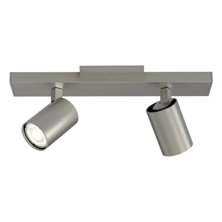 Contemporary Matt Nickel 2-Light Spotlight Ceiling Fixture