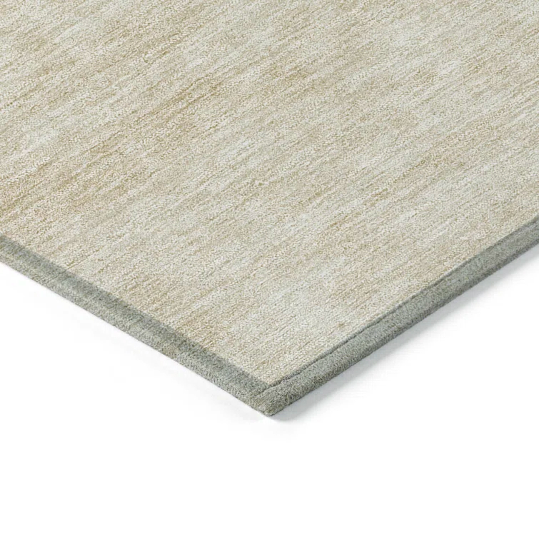 Ayush Indoor/Outdoor Area Rug with Non-Slip Backing