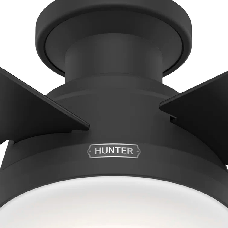 Dempsey Low Profile 44" 4 - Blade Indoor Flush Mount Small Room Ceiling Fan with Lights and Remote
