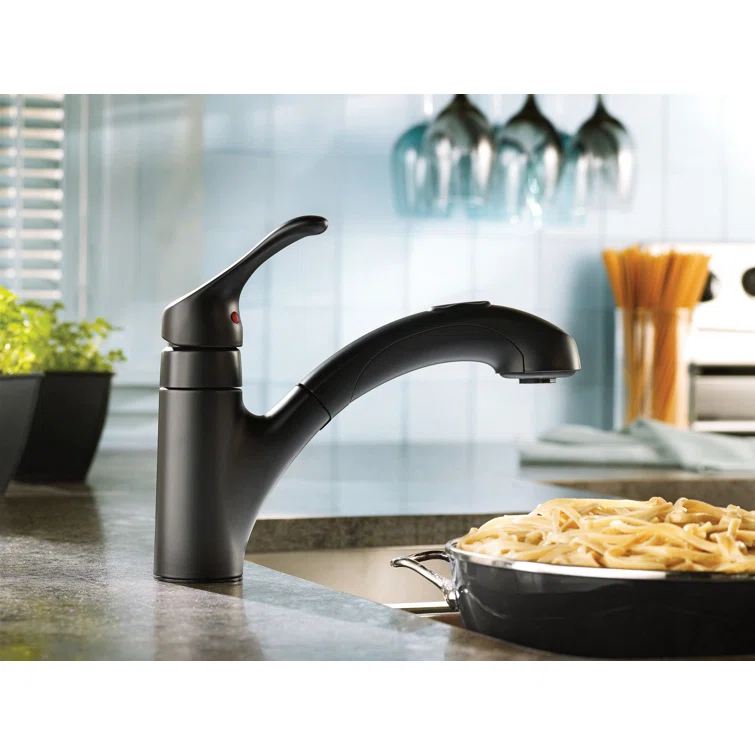 Renzo Single Handle Kitchen Faucet with Duralock