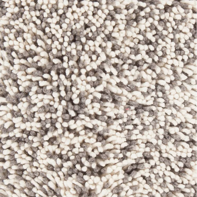 Eleanor Shag White/Gray Area Rug