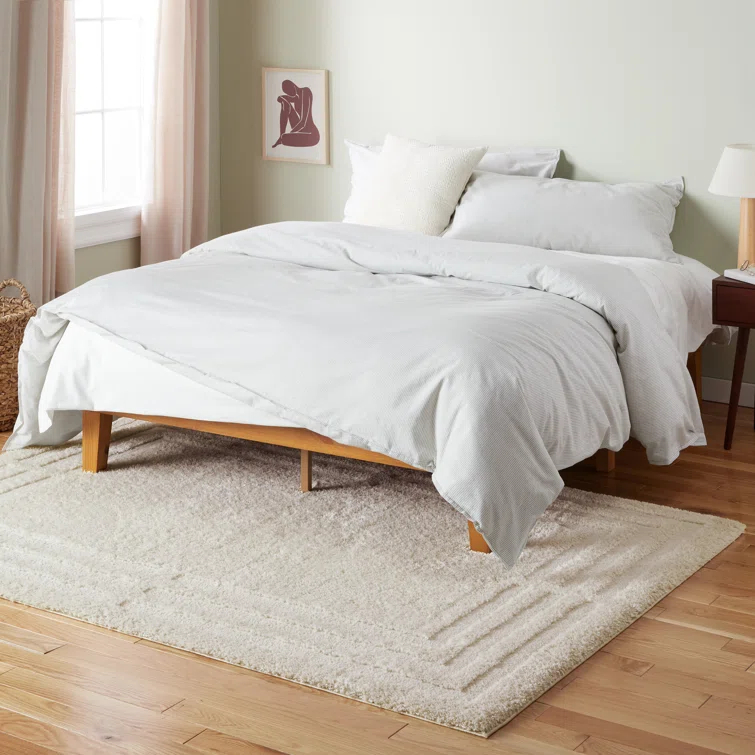 TOWN & COUNTRY EVERYDAY Cloud Shag Area Rug Beige