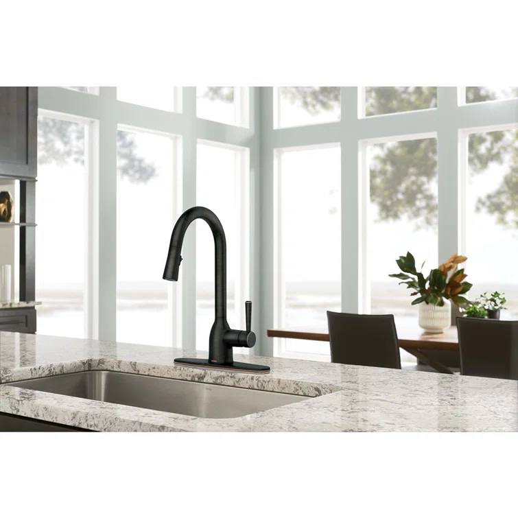 Adler Pull Down Single Handle Kitchen Faucet with Accessories