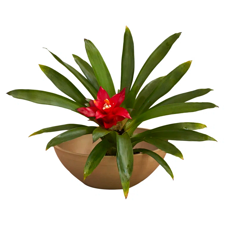 Haven Pot Planter