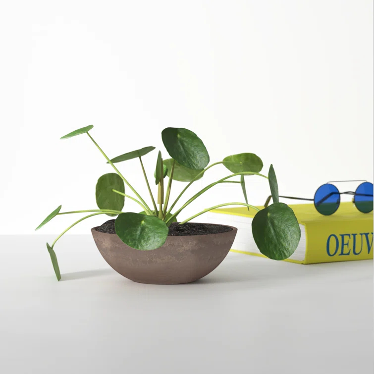 Haven Pot Planter
