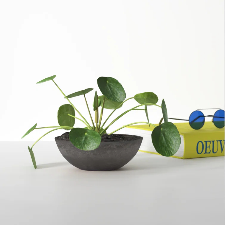 Haven Pot Planter