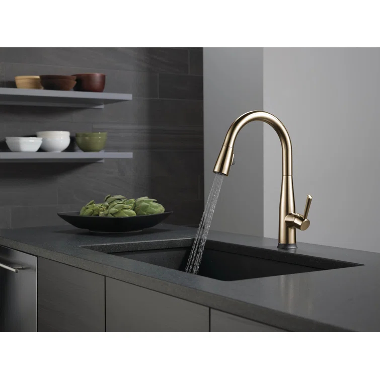 Essa Pull Down Single Handle Kitchen Faucet with MagnaTite Docking and Touch2O Technology