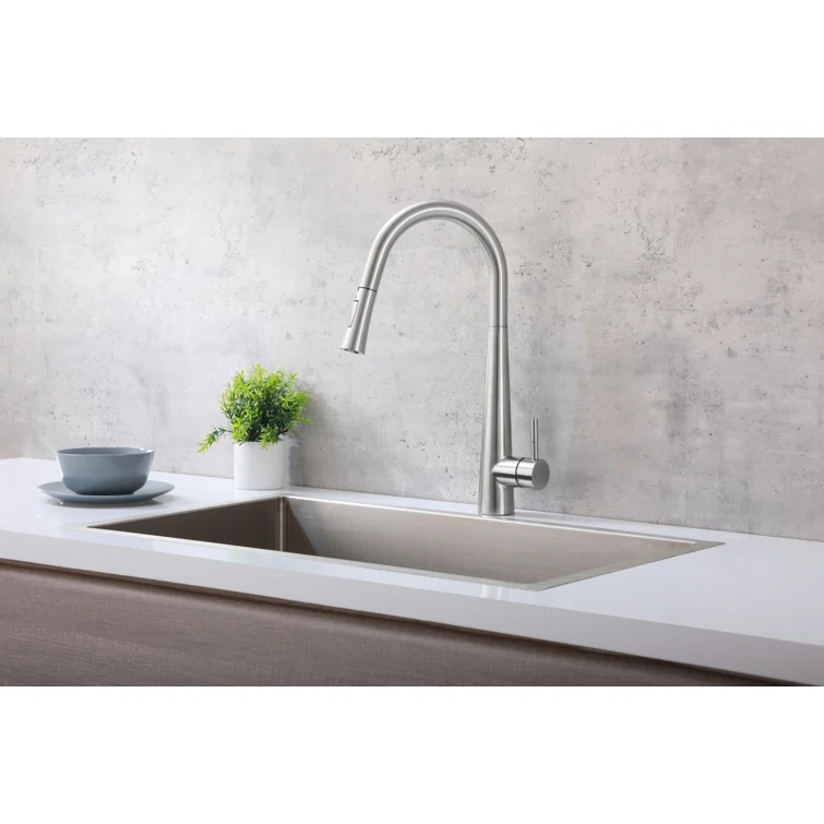 Elegant Lighting Lucas Pull Down Spray Kitchen Faucet