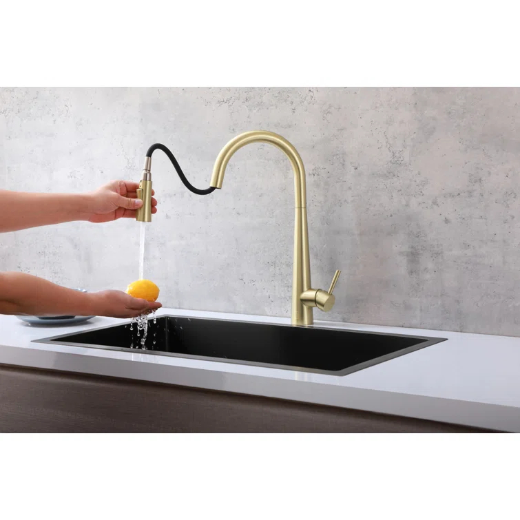 Elegant Lighting Lucas Pull Down Spray Kitchen Faucet