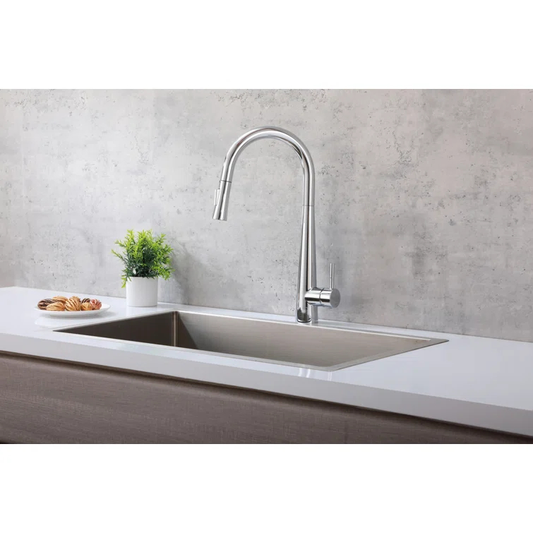 Elegant Lighting Lucas Pull Down Spray Kitchen Faucet