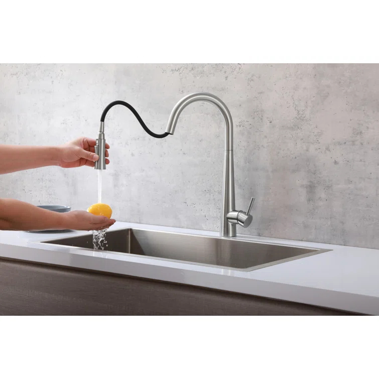 Elegant Lighting Lucas Pull Down Spray Kitchen Faucet