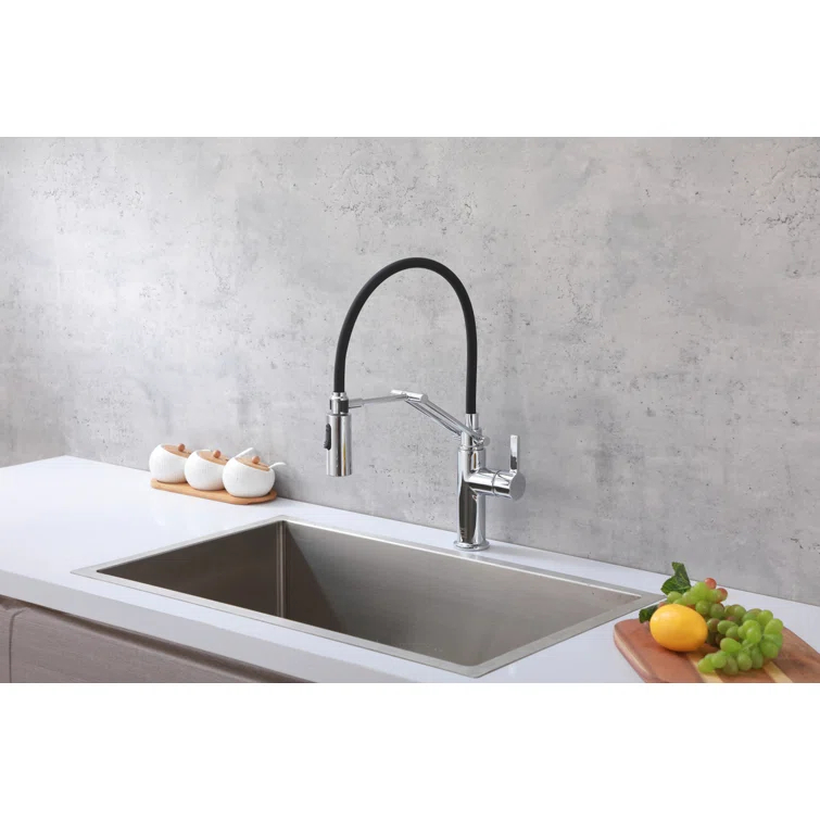 Elegant Lighting Leonardo Pull Down Spray Kitchen Faucet