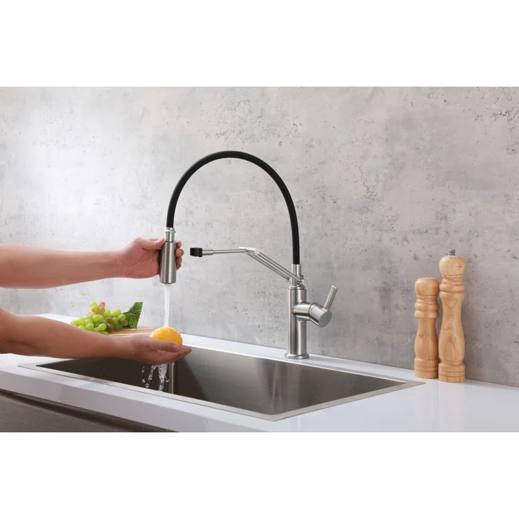 Elegant Lighting Leonardo Pull Down Spray Kitchen Faucet