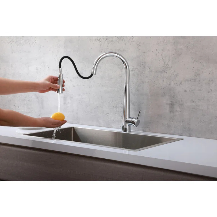 Elegant Lighting Lucas Pull Down Spray Kitchen Faucet