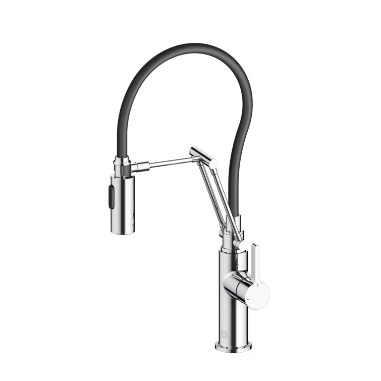 Elegant Lighting Leonardo Pull Down Spray Kitchen Faucet