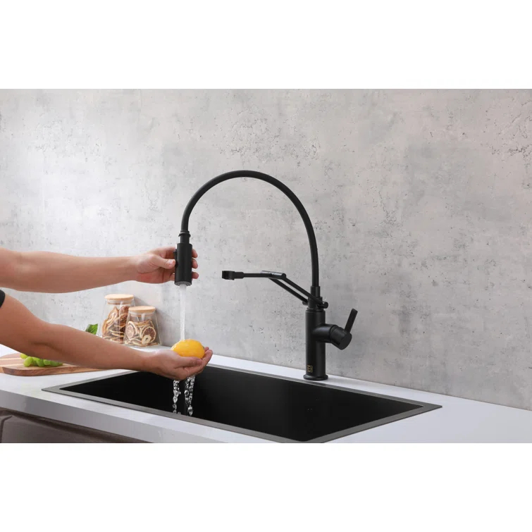 Elegant Lighting Leonardo Pull Down Spray Kitchen Faucet