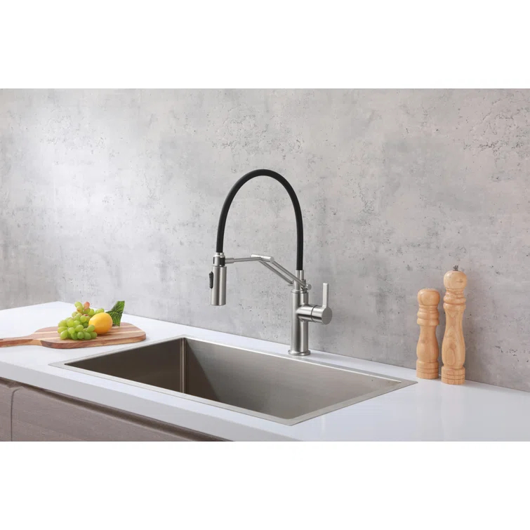 Elegant Lighting Leonardo Pull Down Spray Kitchen Faucet