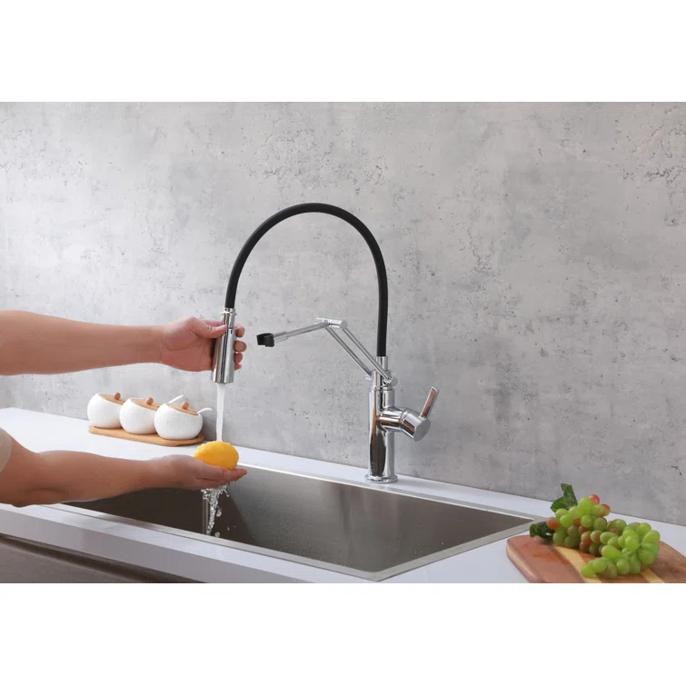 Elegant Lighting Leonardo Pull Down Spray Kitchen Faucet