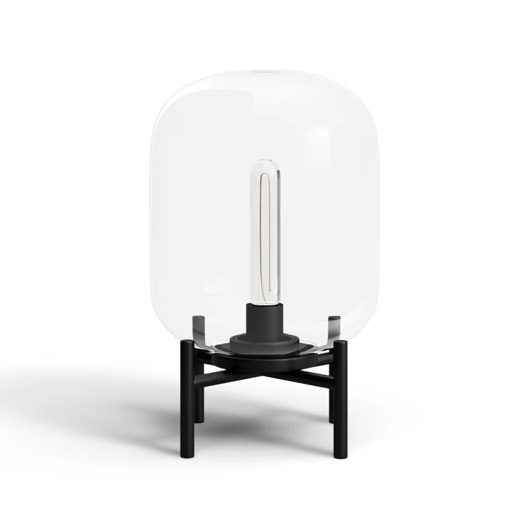 Danae Metal Novelty Lamp