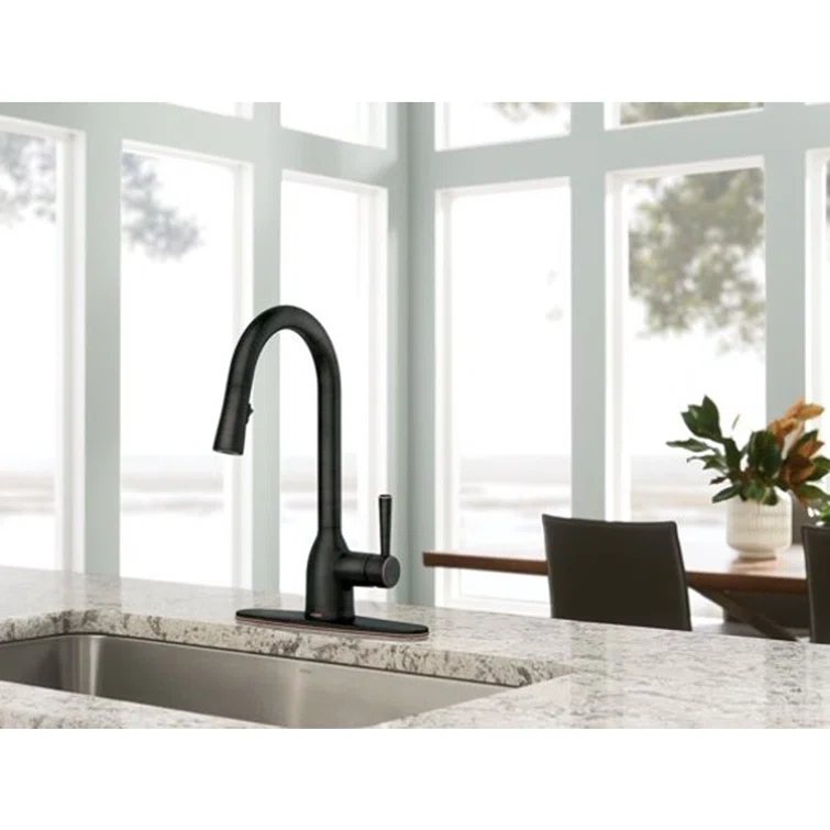 Adler Pull Down Single Handle Kitchen Faucet with Accessories