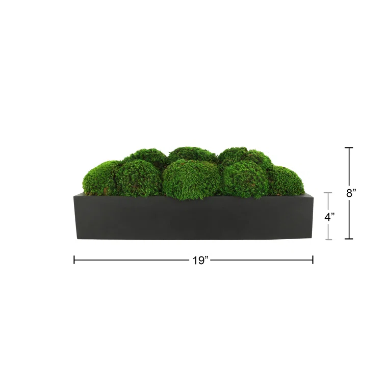 Nature's Nostalgia Moss Plant in Fiberstone Planter