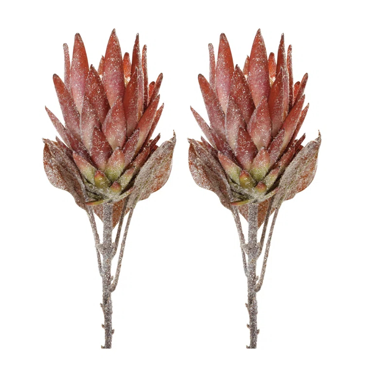 Protea Flower Stem (Set of 2) (Set of 2)