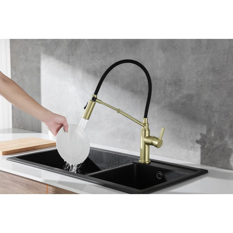 Elegant Lighting Leonardo Pull Down Spray Kitchen Faucet