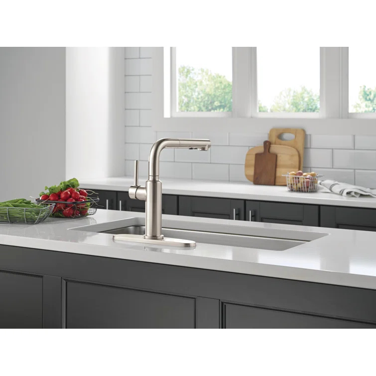 Daneri Pull-Out Sprayer Kitchen Faucet, Single Handle Kitchen Sink Faucet