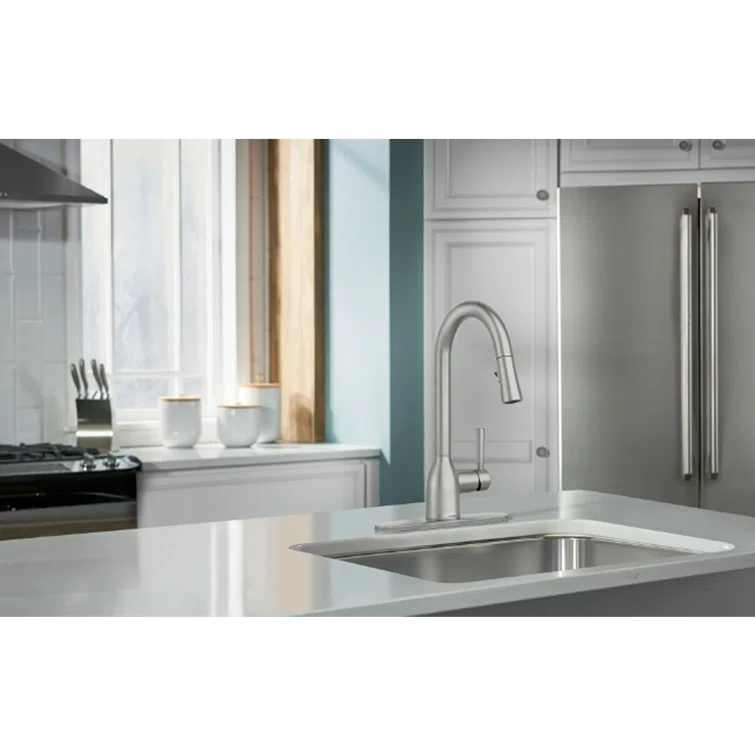 Adler Pull Down Single Handle Kitchen Faucet with Accessories