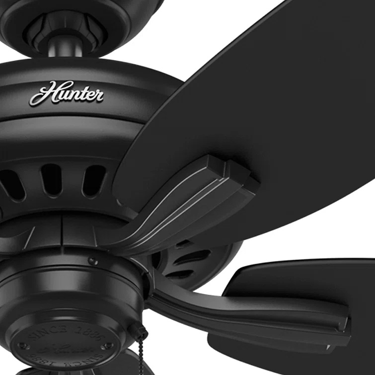 52" Newsome 5 - Blade Outdoor Standard Ceiling Fan with Pull Chain