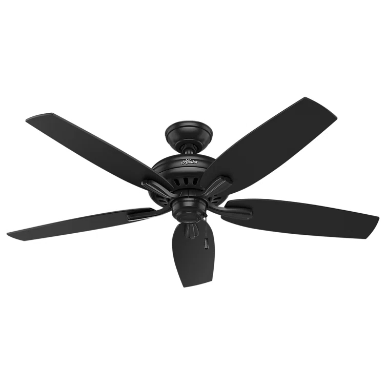 52" Newsome 5 - Blade Outdoor Standard Ceiling Fan with Pull Chain
