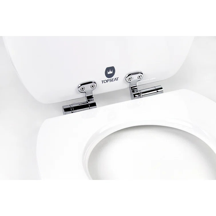 Art Of Acryl Round Toilet Seat and Lid