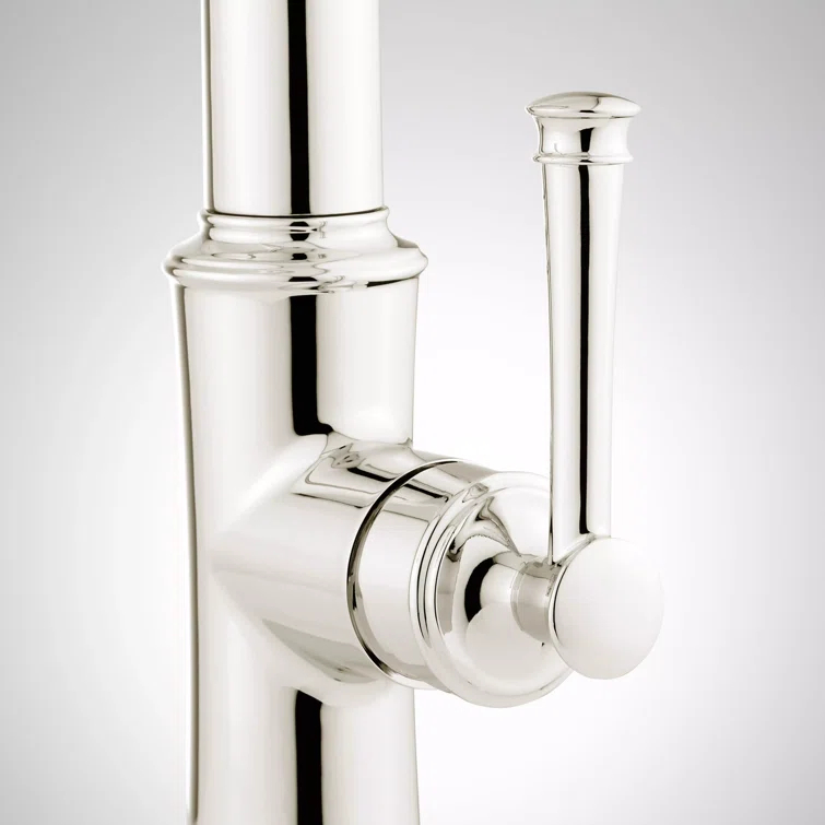 Beasley Single Hole Pre Rinse Pull Down Kitchen Faucet