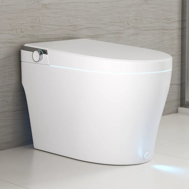 DeerValley Smart Toilet Elongated 1 Piece 1.28GPF  Fully Glazed Toilet with Heated Seat & Foot Kick Flush & Night Light DV-1S0029-V1