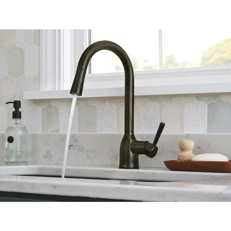 Adler Pull Down Single Handle Kitchen Faucet with Accessories