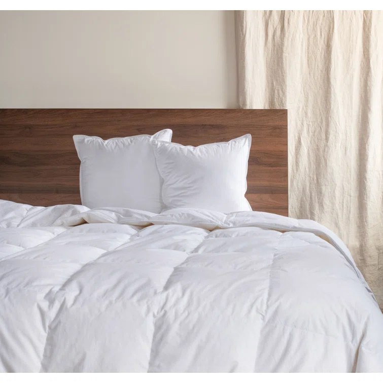 Down Alternative Throw Pillow Insert - 2 Pack (Set of 2)