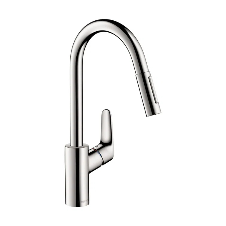 Focus Single Handle Kitchen Faucet