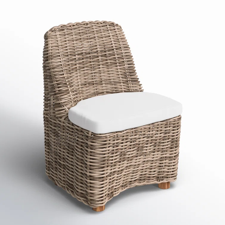 Dalva Polyethylene (PE) Wicker Wicker Outdoor Dining Side Chair with Cushion